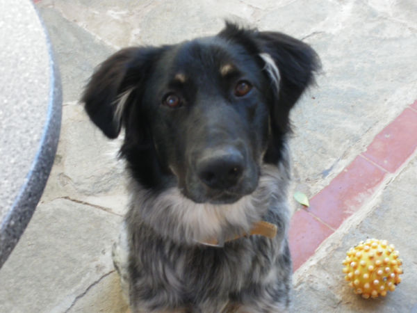 Adoption-Pasch-leo 7