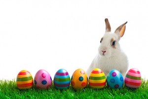 Easter-bunny-and-eggs