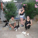 Volunteers 3