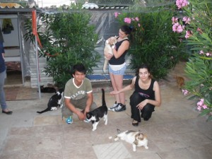 Volunteers 3